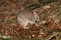 IMG_4030