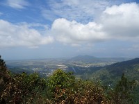 DSC02286