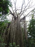 DSC02332