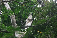IMG_3870