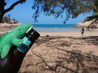 IMG-20171005-WA0011