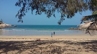 Alma Bay