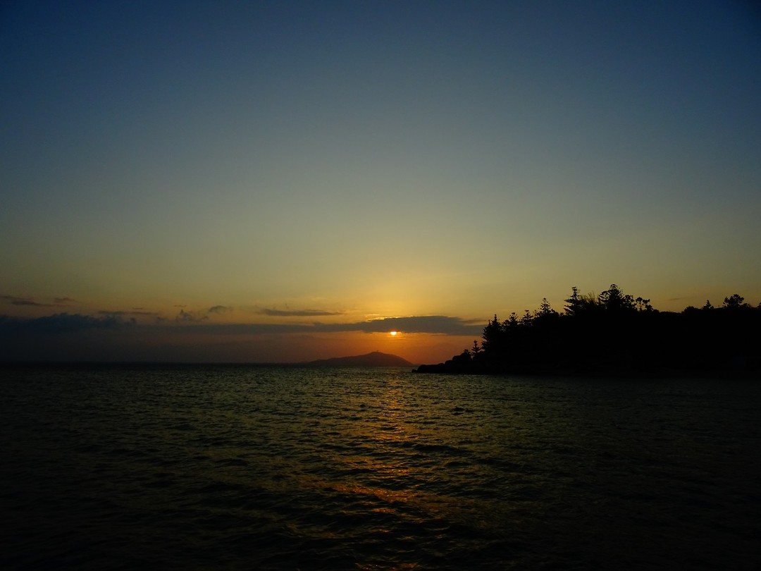 DSC02499