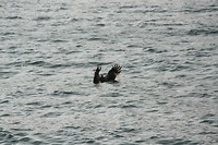 IMG_4096