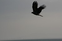 IMG_4127