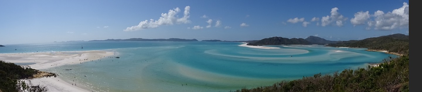 DSC02539