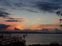 DSC02728