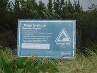 DSC02839