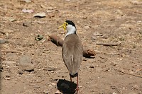 IMG_4172