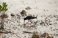 IMG_4175