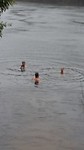 Zwemmen in de regen