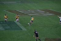 IMG_4454