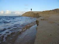 DSC02900