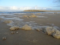 DSC02890