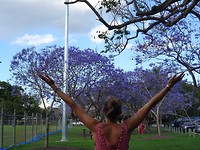 DSC02964