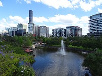 DSC02954