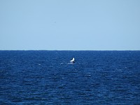 DSC03096