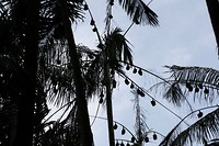 IMG_4744