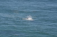 IMG_4802