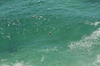IMG_4858