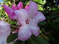 DSC03363