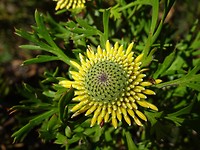 DSC03341
