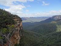 DSC03274