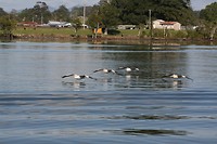 IMG_5001