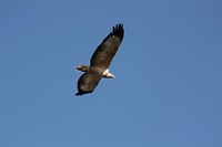 IMG_4954