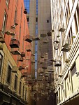 DSC03481