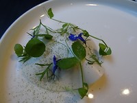 DSC03513