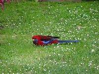 DSC04000