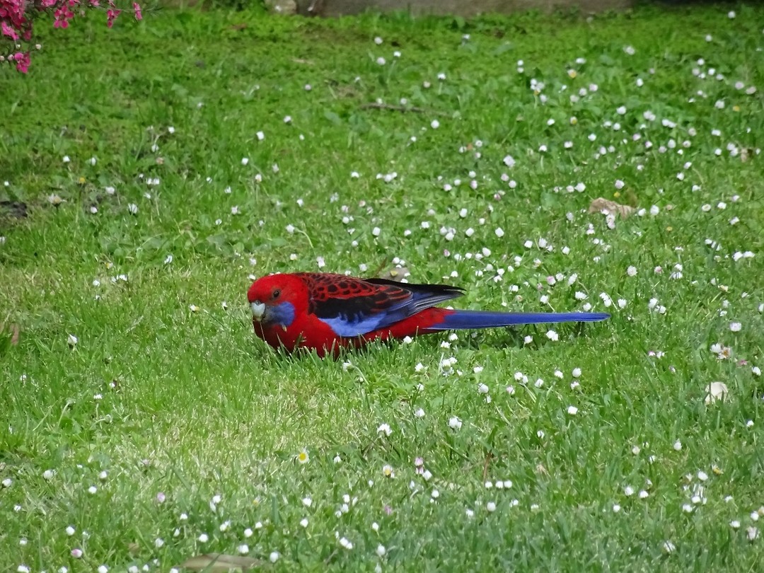 DSC04000