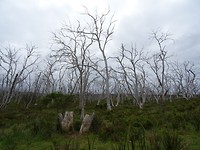 DSC04022