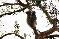 IMG_5739
