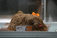 IMG_6178