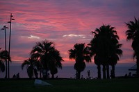 IMG_6185