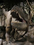 IMG_1990