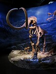 IMG_2021
