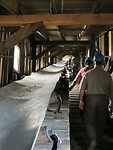 IMG_2077