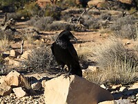 IMG_4062