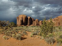 IMG_4131
