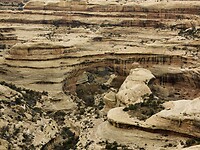 IMG_4148