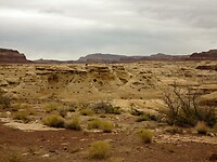 IMG_4172