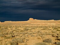 IMG_4177