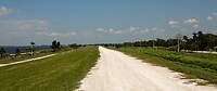 IMG_8520