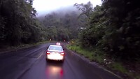 Cloudforests in the rain