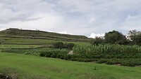 Pumapungo museum