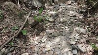 Hiking in Rumi Wilco Nature Reserve