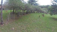Arrival at the estancia Los Pinos de la Quebrada